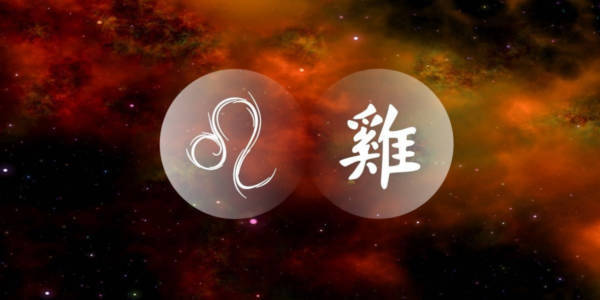 Leo Rooster: Den charmerende udadvendte af det vestlige kinesiske stjernetegn