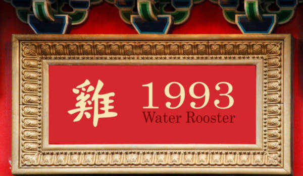 1993 Jahr des Wasserhahns