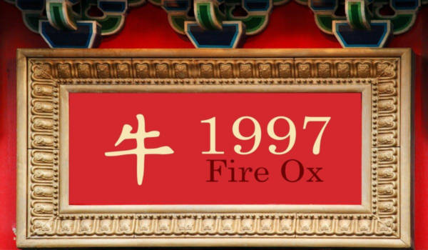 Kinesisk stjernetegn 1997: Ildoksens år - personlighedstræk