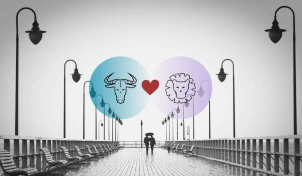 Stier und Löwe Kompatibilität in Liebe, Beziehung und Sex