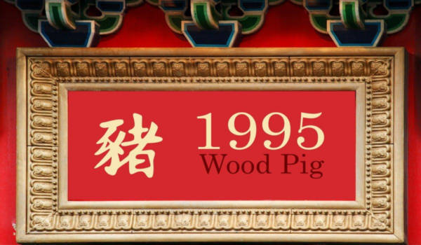 Jahr des Holzschweins 1995