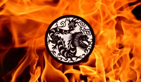 Kinesisk Zodiac Fire Dragon: egenskaber og egenskaber