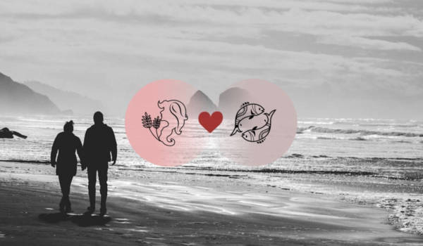 Kompatibilität von Jungfrau und Fisch in Liebe, Beziehung und Sex